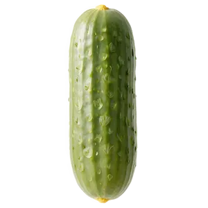 Garden Fresh Cucumber PNG 64 PNG