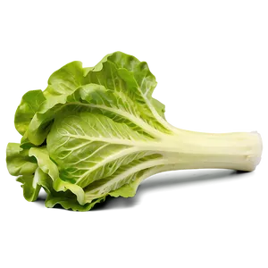 Garden Fresh Lettuce Png 17 PNG image