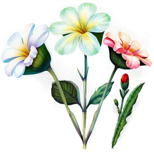 "garden Gems: Rare Flower PNG" B