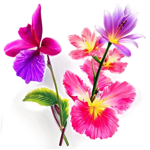 "garden Glory: Stunning Flower PNG" A