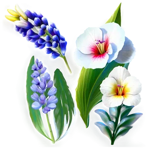 "garden Glory: Stunning Flower PNG" B