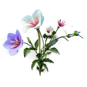 "garden Glory: Stunning Flower PNG" D