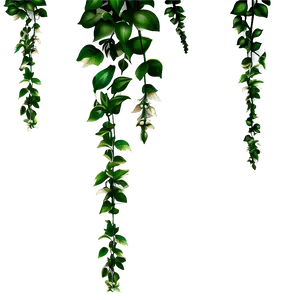 Garden Hanging Plant Png 05252024 PNG image