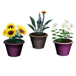 Garden Indie Flowers PNG 06252024