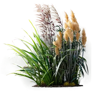 Garden Ornamental Grass Png 41 PNG image