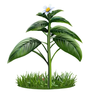 Garden Plant PNG 38