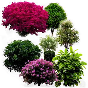 Garden Shrubs PNG Yuc96