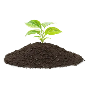 Garden Soil Dirt PNG Mxm52 PNG