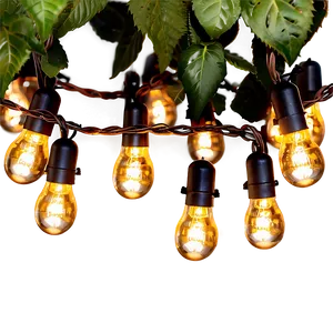 Garden String Lights PNG 05252024 PNG
