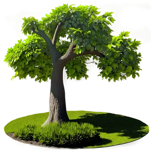 Garden Tree Shadow Png Uwn78 PNG image