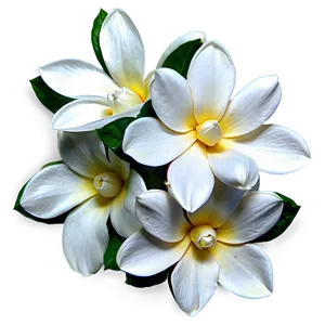 Gardenia Flower Drawing PNG 3