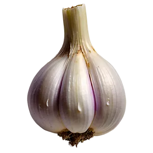 Garlic Bulb PNG 05242024