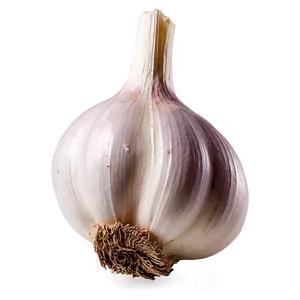 Garlic Bulb PNG 05242024