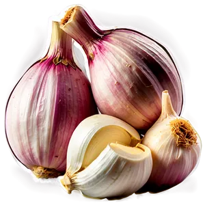 Garlic Clove PNG 05242024