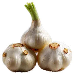 Garlic Flavored Kimchi PNG 06252024
