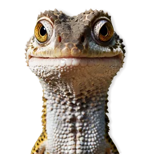 Geico Gecko Headshot Png 06212024 PNG image