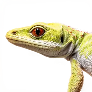 Geico Gecko Headshot Png 31 PNG image