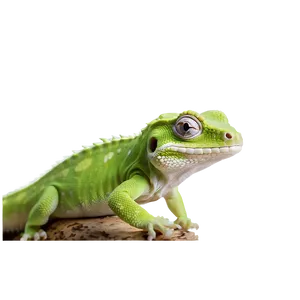 Geico Gecko In Nature PNG Vid53