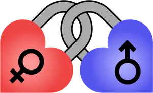 Gender Symbols Linked Hearts PNG image
