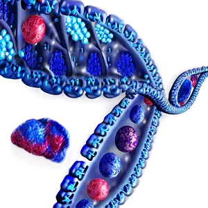 Genetic Code Translation PNG 88 PNG