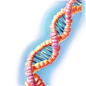 Genetic Dna Strand Png 05242024 PNG image