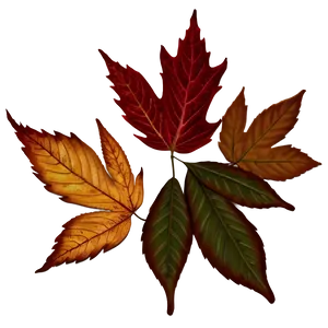 Gentle Fall Of Leaves Png Mik53 PNG image