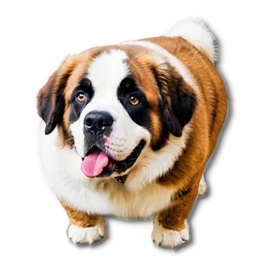 Gentle Giant Saint Bernard PNG Ffv18 PNG