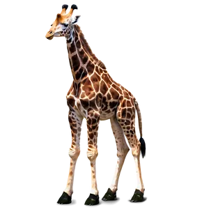 Gentle Giraffe PNG Fkq91
