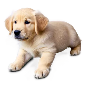 Gentle Golden Retriever Puppy Png 06252024 PNG image