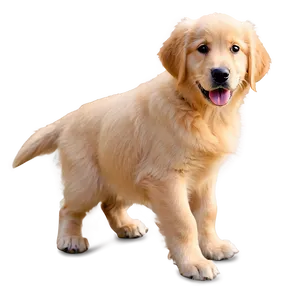 Gentle Golden Retriever Puppy Png 06252024 PNG image