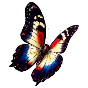 Genuine Butterfly Picture Png Rnf88 PNG image