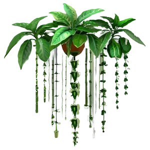 Geometric Hanging Plant PNG 38