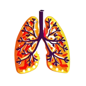 Geometric Lungs Illustration Png 05232024 PNG image