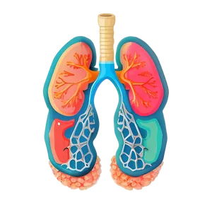 Geometric Lungs Illustration Png 52 PNG image