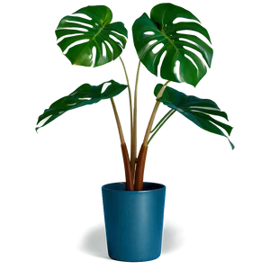 Geometric Monstera Design PNG 05232024