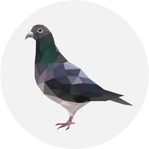 Geometric Pigeon Artwork PNG