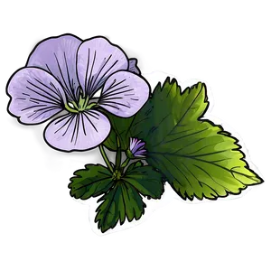 Geranium Flower Sketch PNG 64