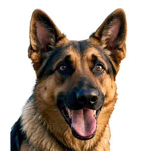 German Shepherd Dog Head Png 06212024 PNG image