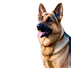 German Shepherd Dog Head Png 06212024 PNG image