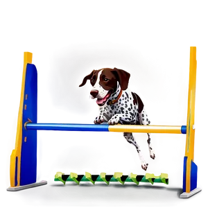 German Shorthaired Pointer Agility PNG Cxp PNG