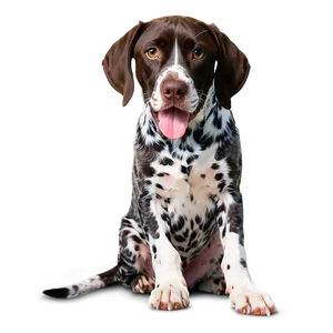 German Shorthaired Pointer And Cat PNG 06292024 PNG