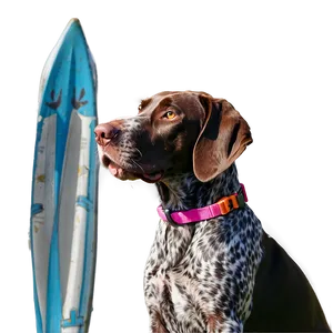 German Shorthaired Pointer At Beach PNG Okw35 PNG