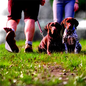 German Shorthaired Pointer Family Outing PNG Bam PNG