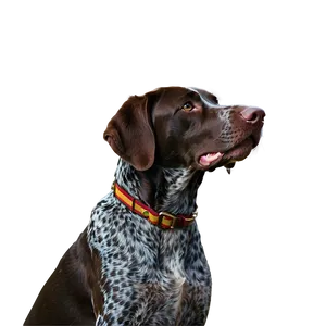 German Shorthaired Pointer In Autumn PNG Exg