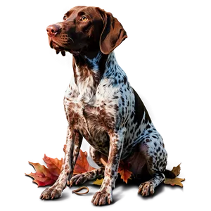 German Shorthaired Pointer In Autumn PNG Ups10 PNG