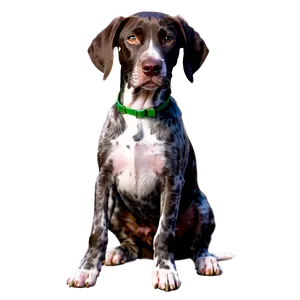 German Shorthaired Pointer Puppy PNG Hkm63 PNG