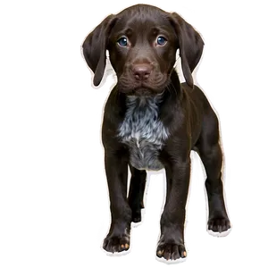German Shorthaired Pointer Puppy PNG Iwp7 PNG