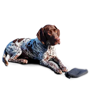 German Shorthaired Pointer Resting PNG Vrh