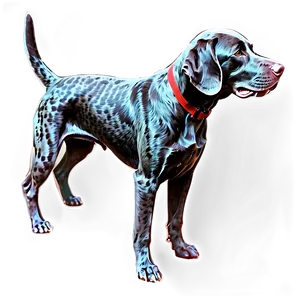 German Shorthaired Pointer Silhouette PNG Urx