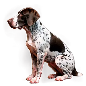 German Shorthaired Pointer Sitting PNG Gou92 PNG